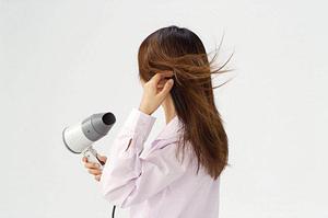 切り花を長く楽しむための栄養剤