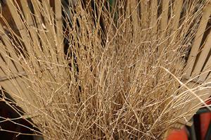 水戸の宝石買取を行っている質店