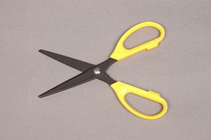 広島でのネズミ駆除完全ガイド！安全で効果的な対策と業者選びのポイント