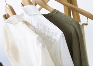 2025年最新!福岡で効果的なシロアリ駆除対策と信頼できる業者選びのポイント