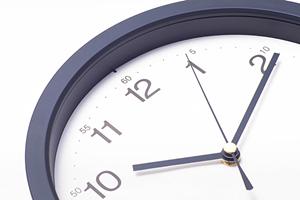 名古屋で観葉植物をレンタルできるお店