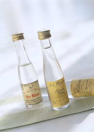 太陽光発電の投資をサポートする会社です