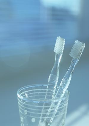 安全・安心の運送会社をお探しなら